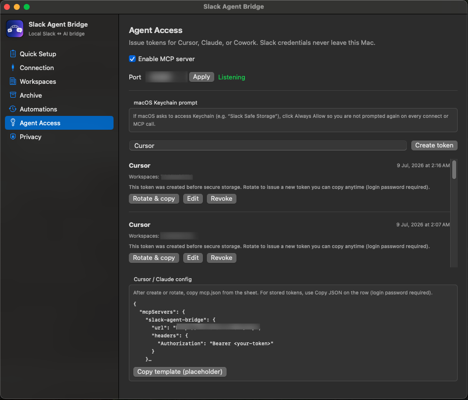 Agent Access pane with MCP server toggle and token management
